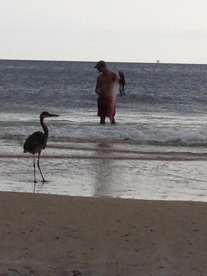 Gulf Shores Plantation מראה חיצוני תמונה